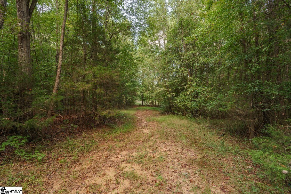 540 McKittrick Bridge Road Fountain Inn, SC 29644 - Photo 27 of 36