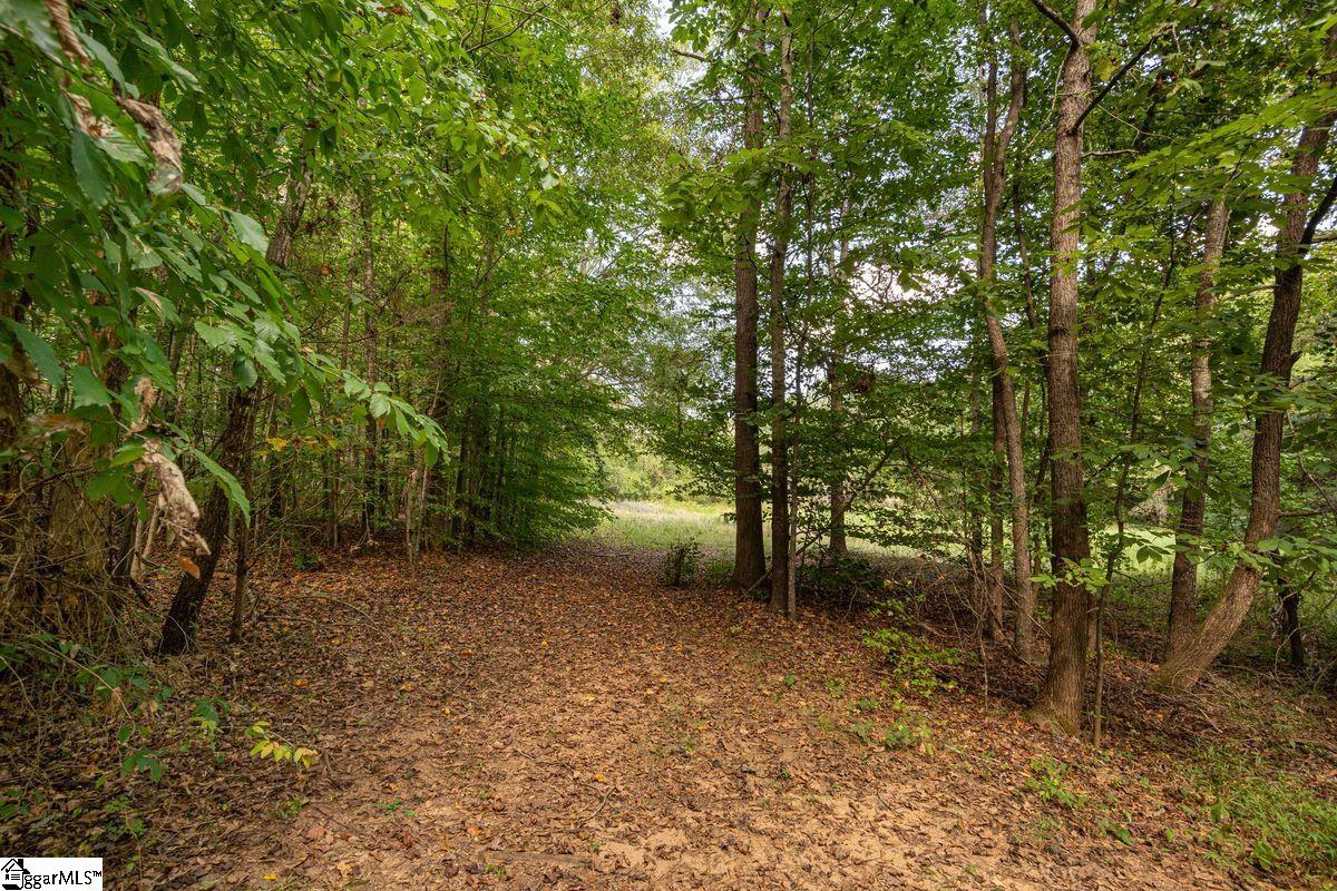 540 McKittrick Bridge Road Fountain Inn, SC 29644 - Photo 28 of 36