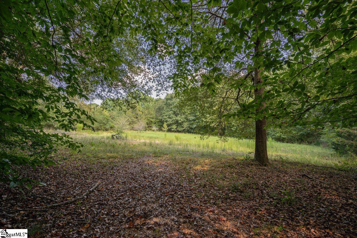 540 McKittrick Bridge Road Fountain Inn, SC 29644 - Photo 29 of 36