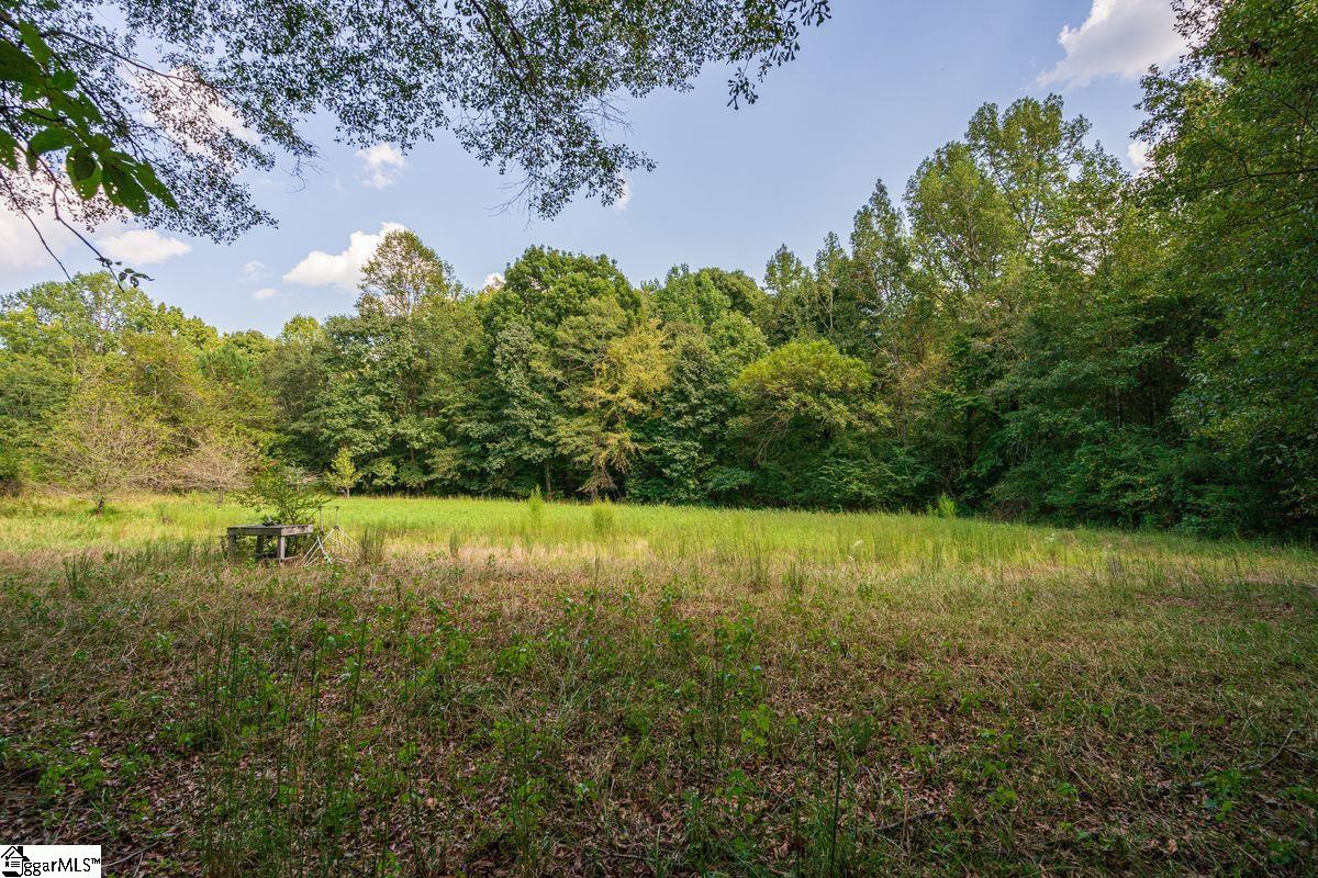 540 McKittrick Bridge Road Fountain Inn, SC 29644 - Photo 30 of 36