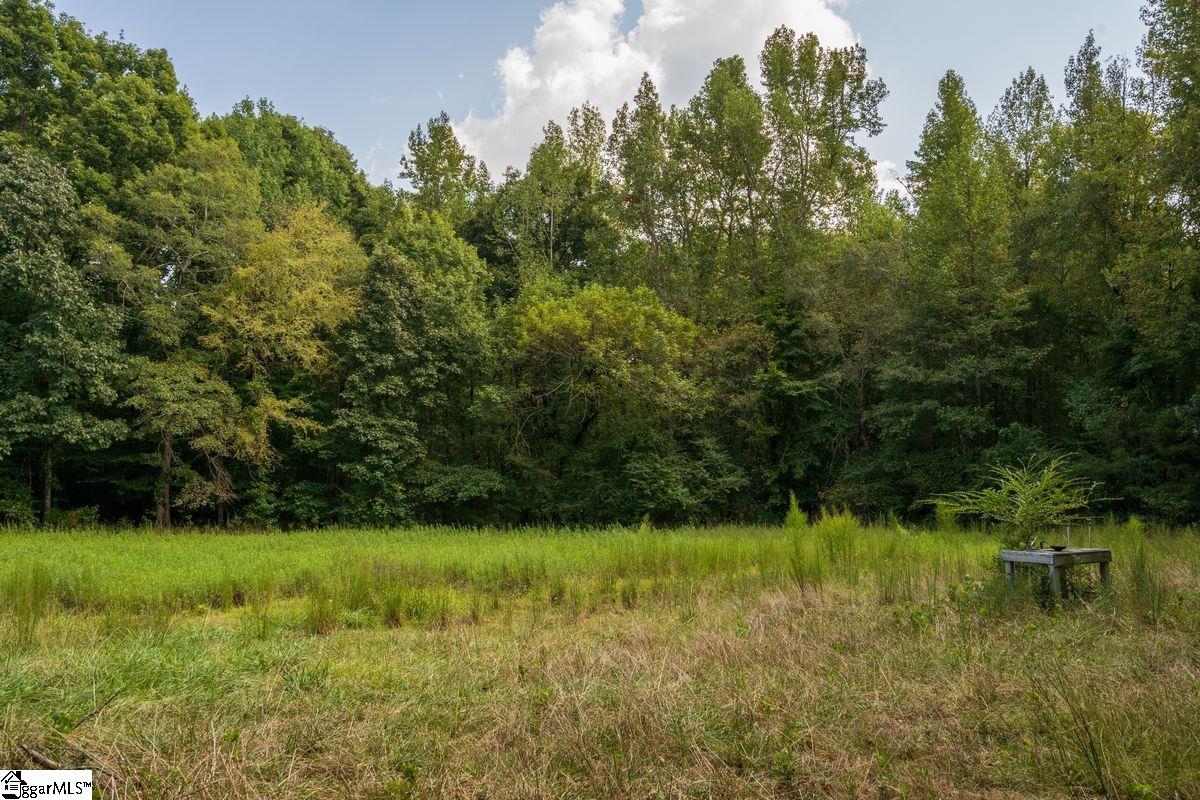 540 McKittrick Bridge Road Fountain Inn, SC 29644 - Photo 31 of 36