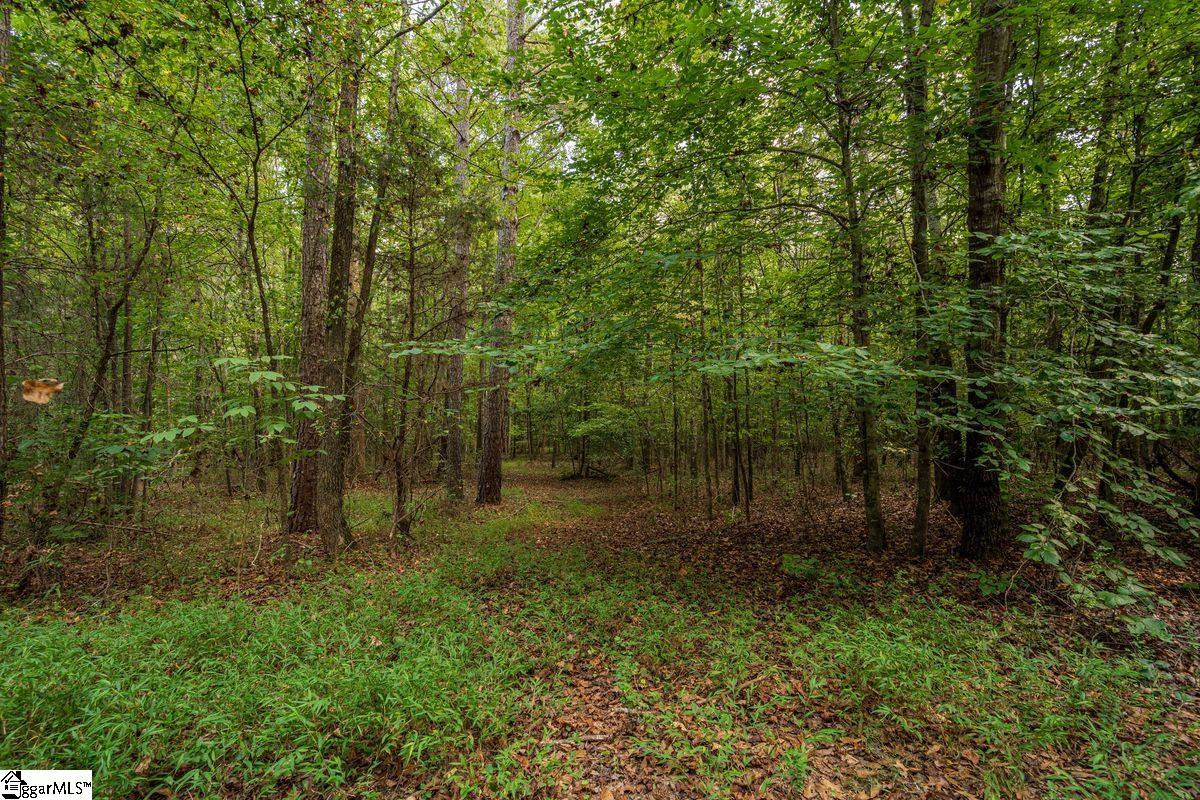 540 McKittrick Bridge Road Fountain Inn, SC 29644 - Photo 33 of 36