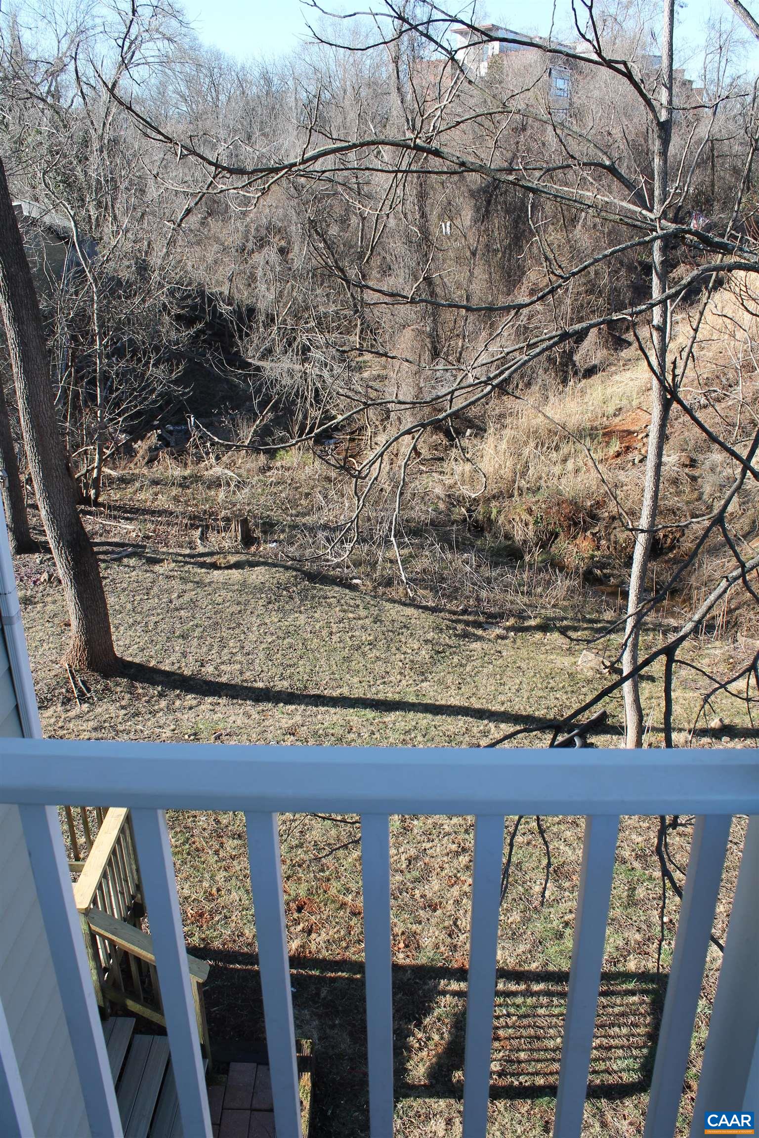 211 Spruce Street Charlottesville, VA 22902 - Photo 6 of 58