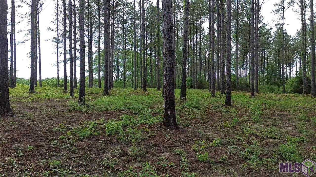 Tract B Monroe Stevens Road Kentwood, LA 70444 - Photo 3 of 10 Gallery Image 3