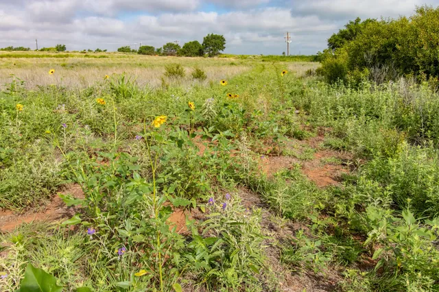 a view of an ocean and beach