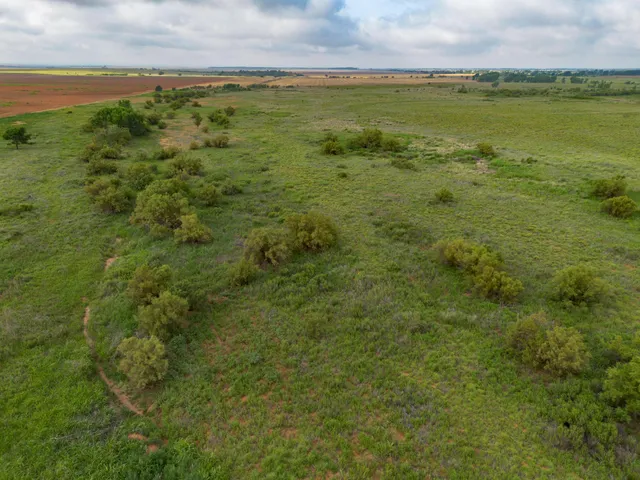 a view of a field with an ocean