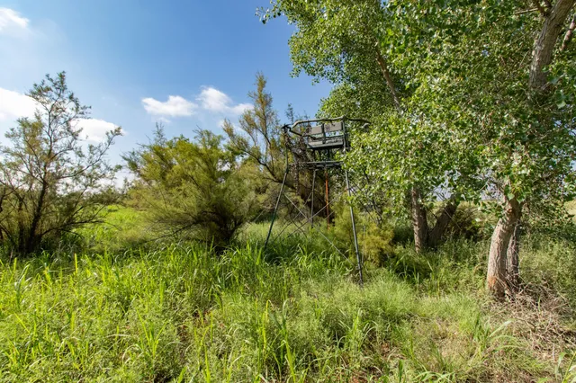 a view of a lake with a yard