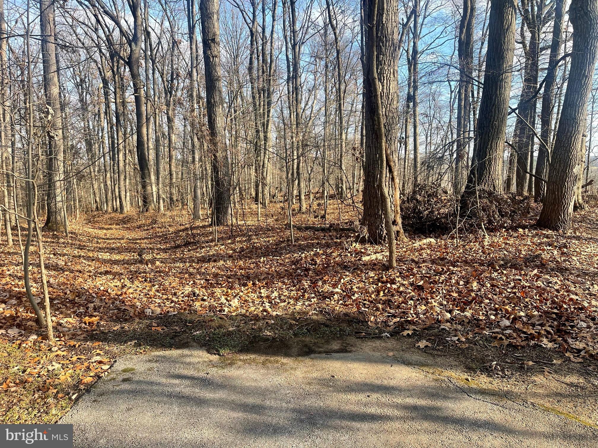 2650-2652 Baumgardner Road Westminster, MD 21158 - Photo 2 of 10 a view of a backyard of the house