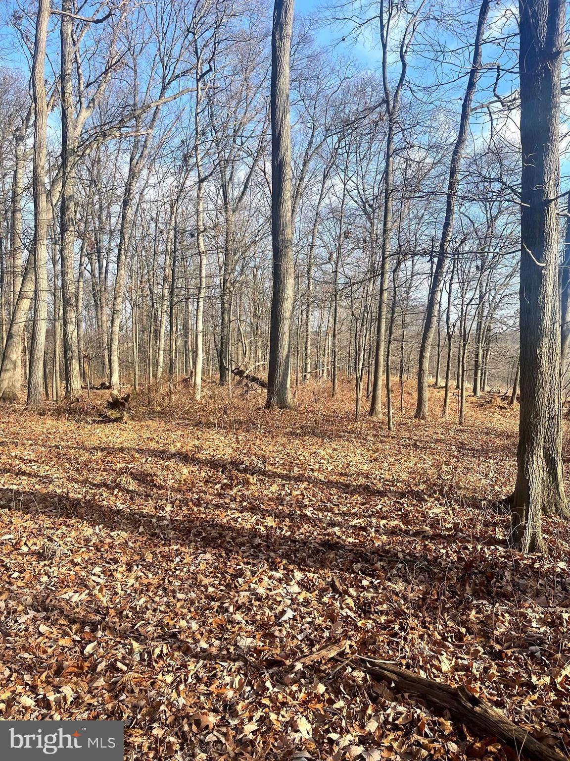 2650-2652 Baumgardner Road Westminster, MD 21158 - Photo 3 of 10 a view of outdoor space with yard