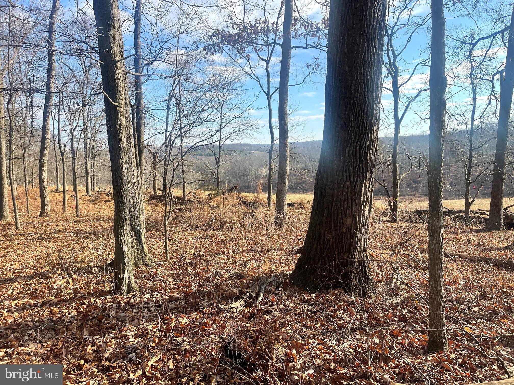 2650-2652 Baumgardner Road Westminster, MD 21158 - Photo 4 of 10 a view of a yard
