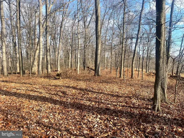 a view of outdoor space with patio