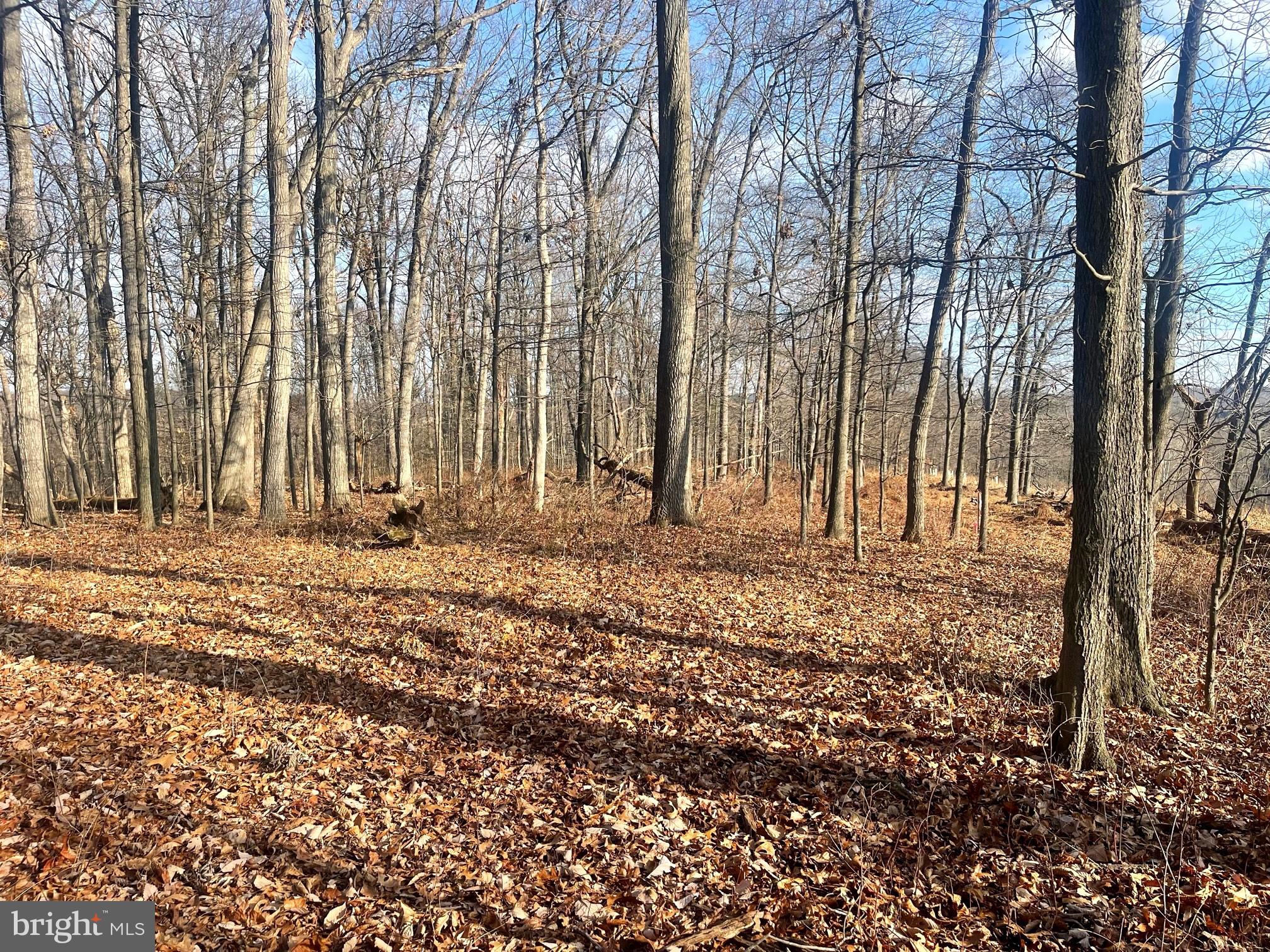 2650-2652 Baumgardner Road Westminster, MD 21158 - Photo 5 of 10 a view of outdoor space with patio