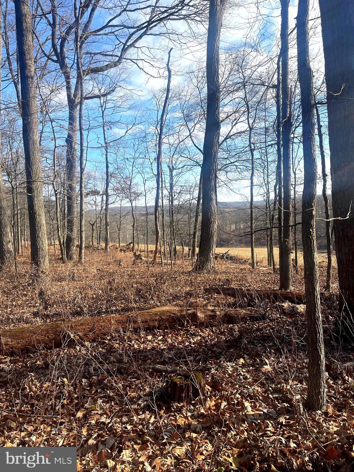 2650-2652 Baumgardner Road Westminster, MD 21158 - Photo 6 of 10 a view of a yard