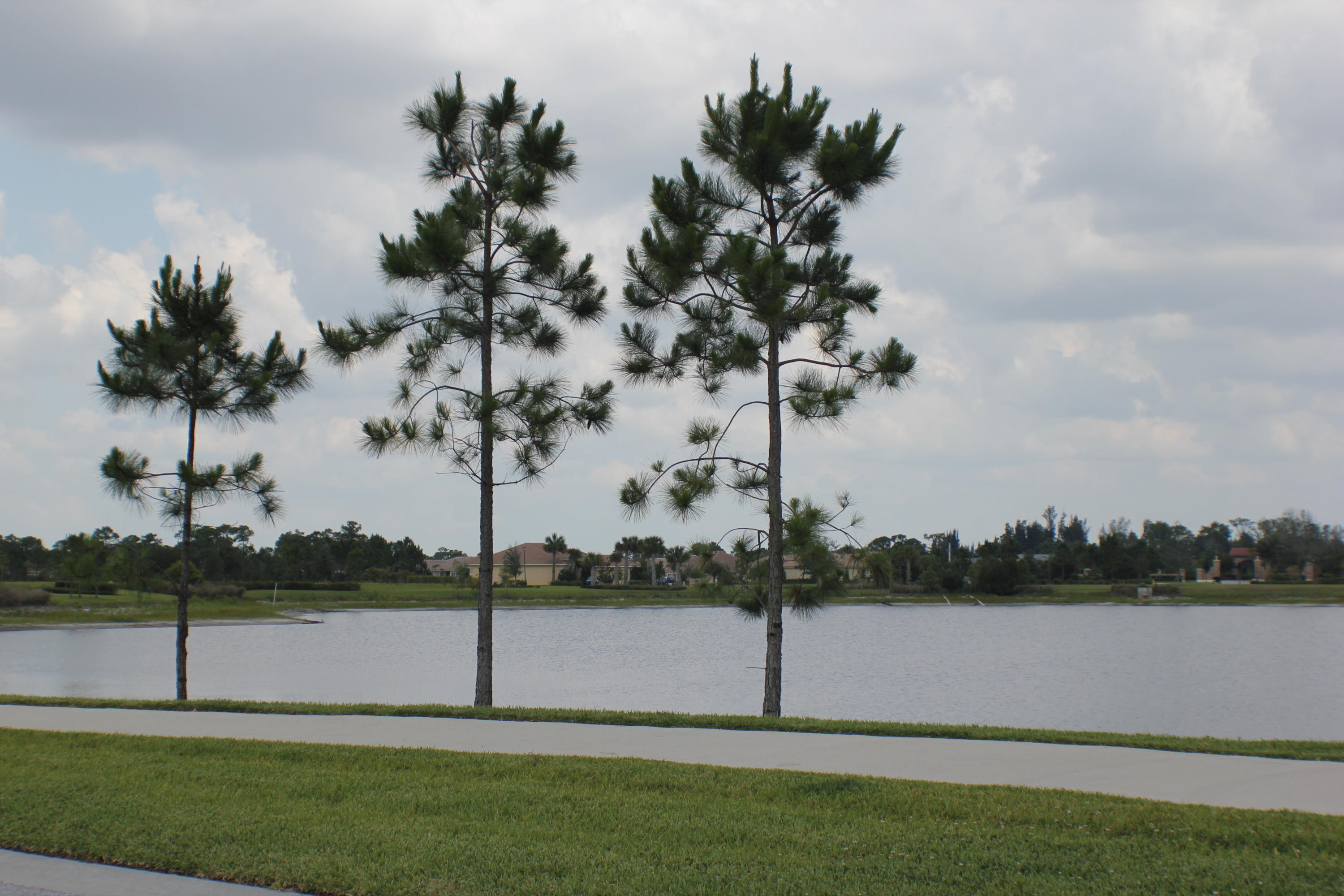 7414 Southeast Ravissant Drive Stuart, FL 34997 - Photo 23 of 25 a view of a lake