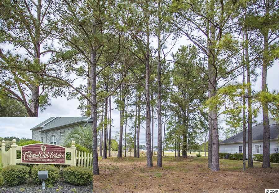 Lot 18 Colonial Charters Longs, SC 29568 - Photo 1 of 6 Gallery Image 1