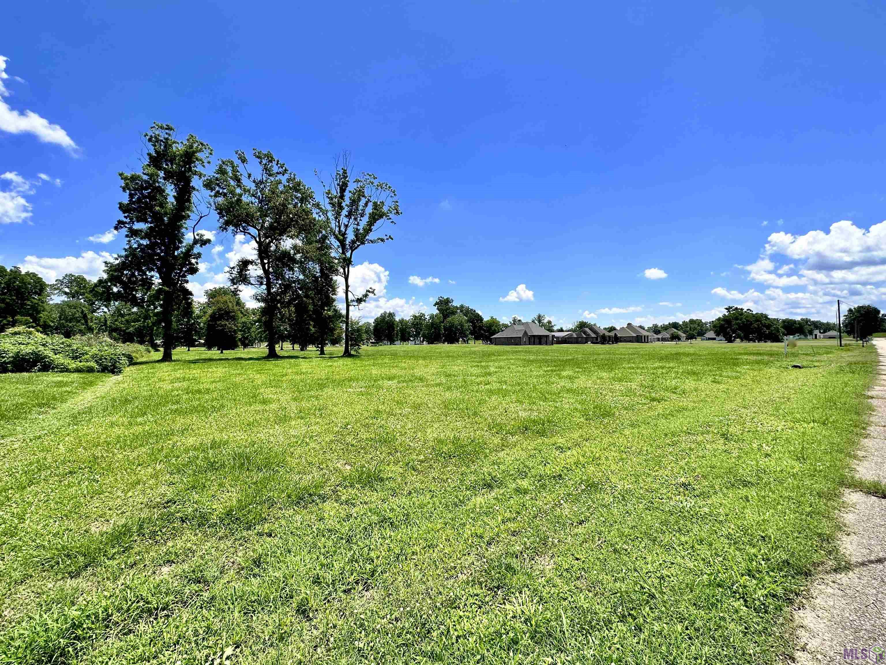 3224 Stanford Levy Road Darrow, LA 70725 - Photo 4 of 5 Gallery Image 4