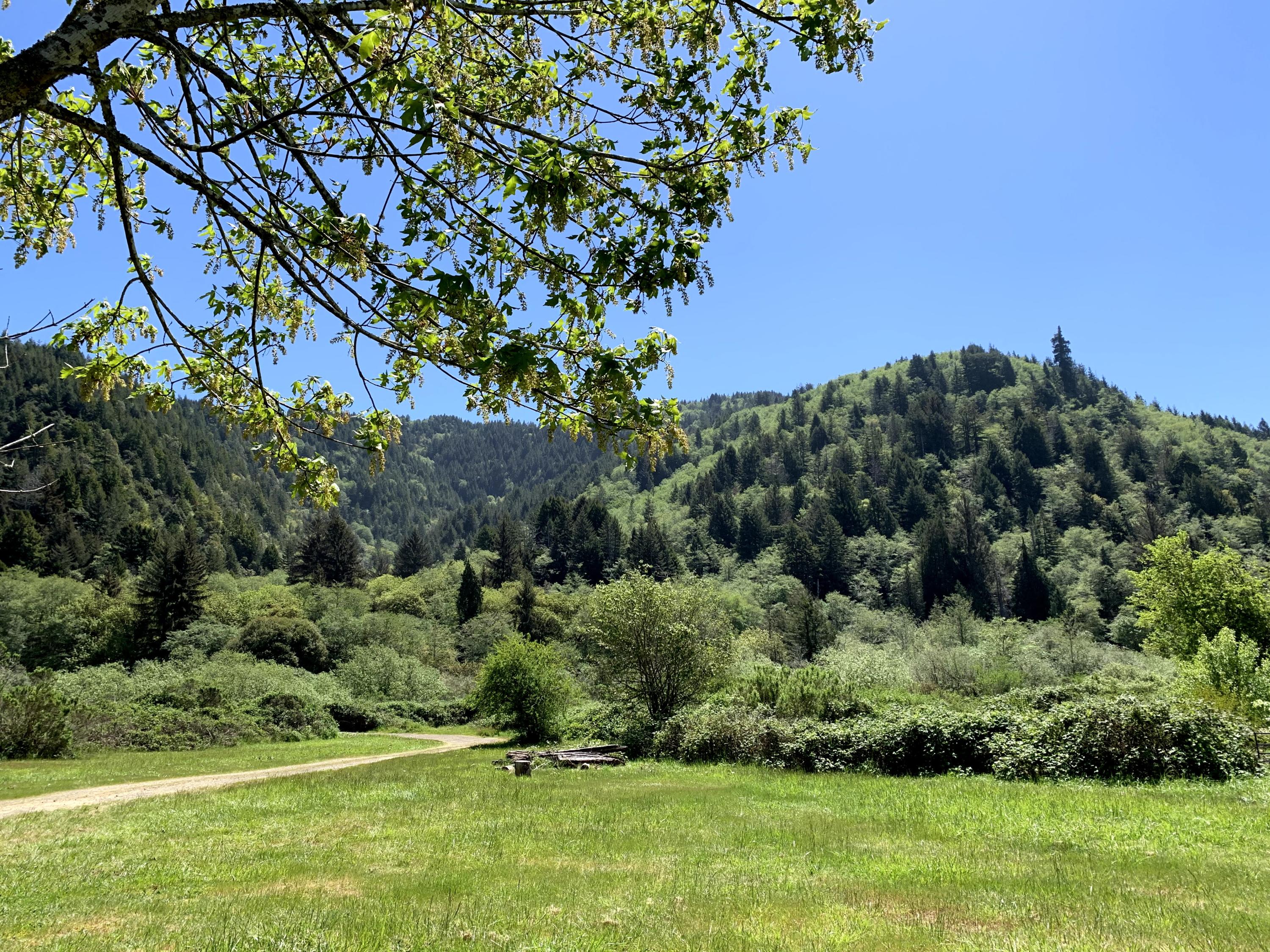2191 Hunter Creek Road Klamath, CA 95548 - Photo 50 of 136