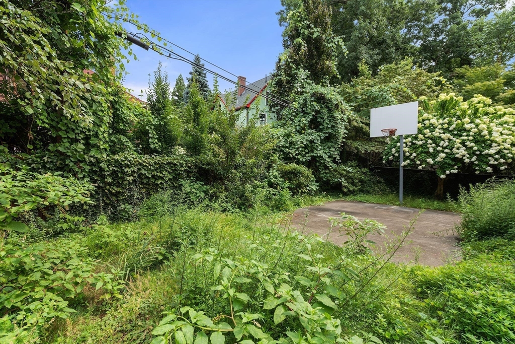 61 Toxteth Street Brookline, MA 02446 - Photo 21 of 21 a view of a yard with plants and large trees