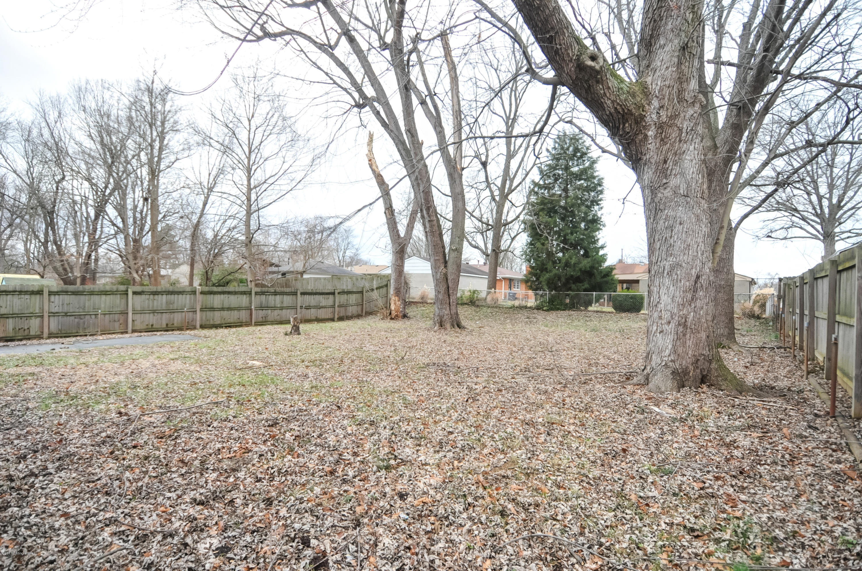 7914 Bluebonnet Road Louisville, KY 40258 - Photo 33 of 33 7419BluebonnetRd-33