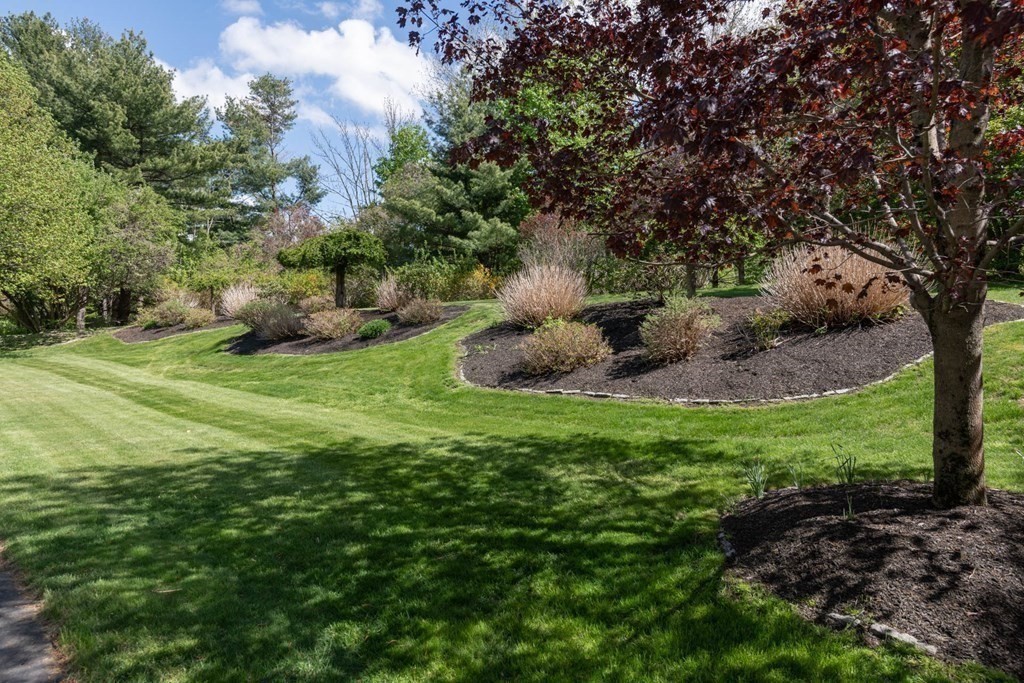 4 Elliston Road Weston, MA 02493 - Photo 32 of 36 a view of a garden with a tree