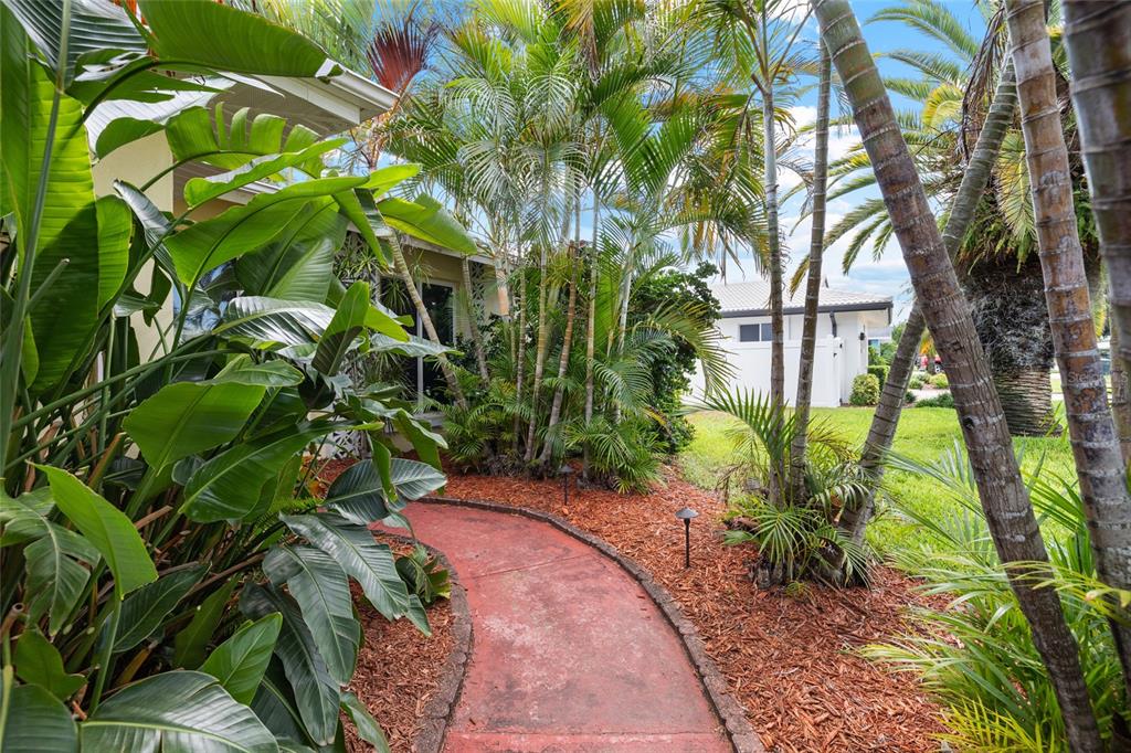 1070 McCarty Street Dunedin, FL 34698 - Photo 4 of 59