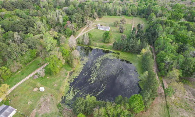 a view of a lake with large trees