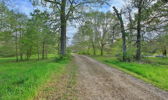 a view of a yard with trees