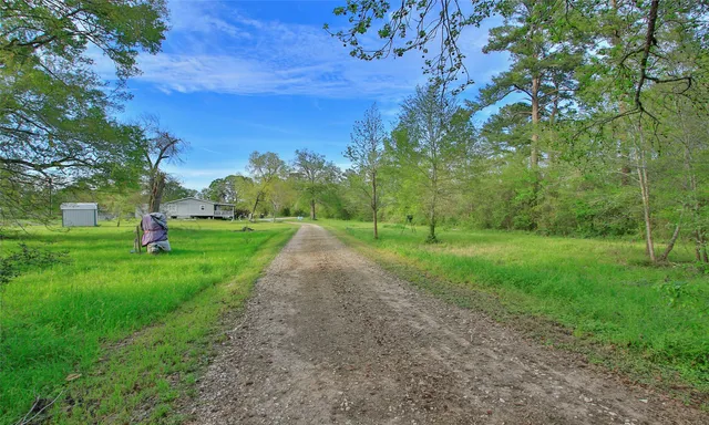 a view of a park with large trees