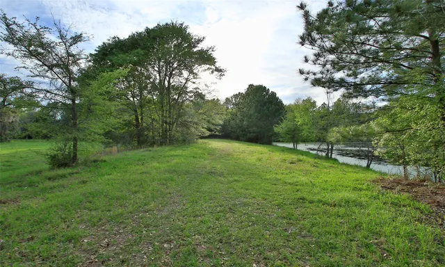 a big yard with lots of green space and deers