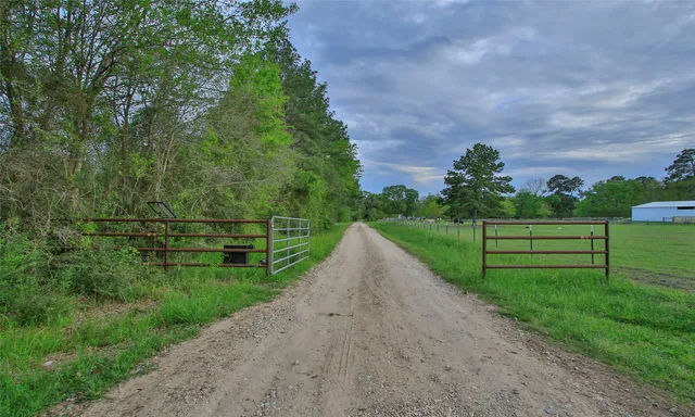 a view of a park with large trees