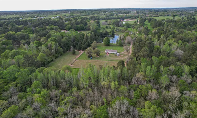 an aerial view of residential houses with outdoor space and trees