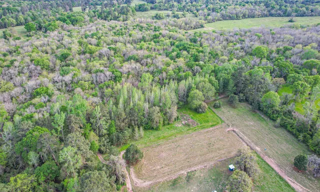 a view of a garden with a plants