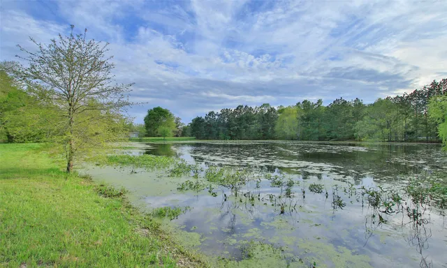 a view of lake with green space