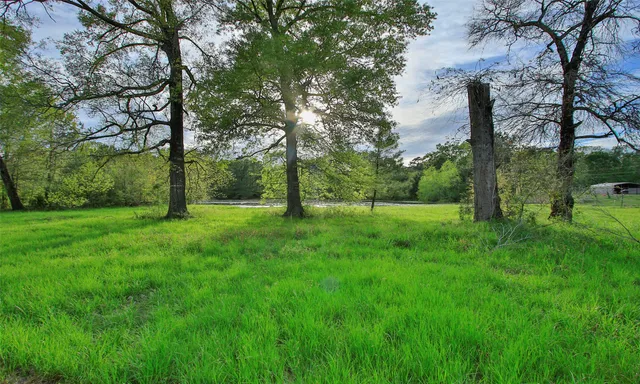a view of green field with trees