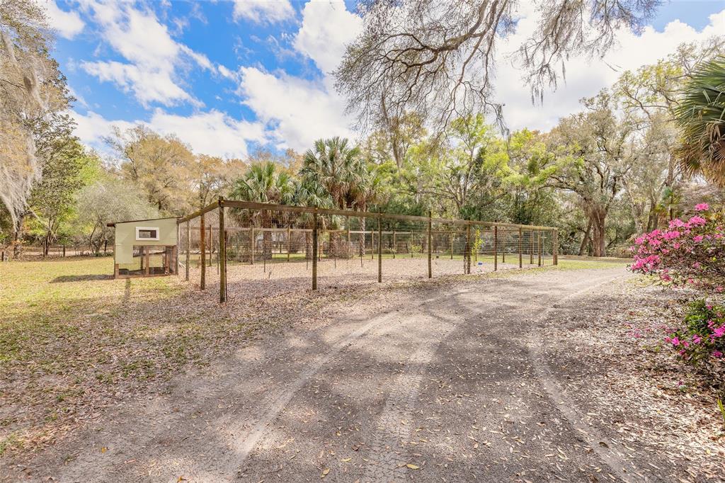 2090 Stone Road DeLand, FL 32720 - Photo 49 of 51