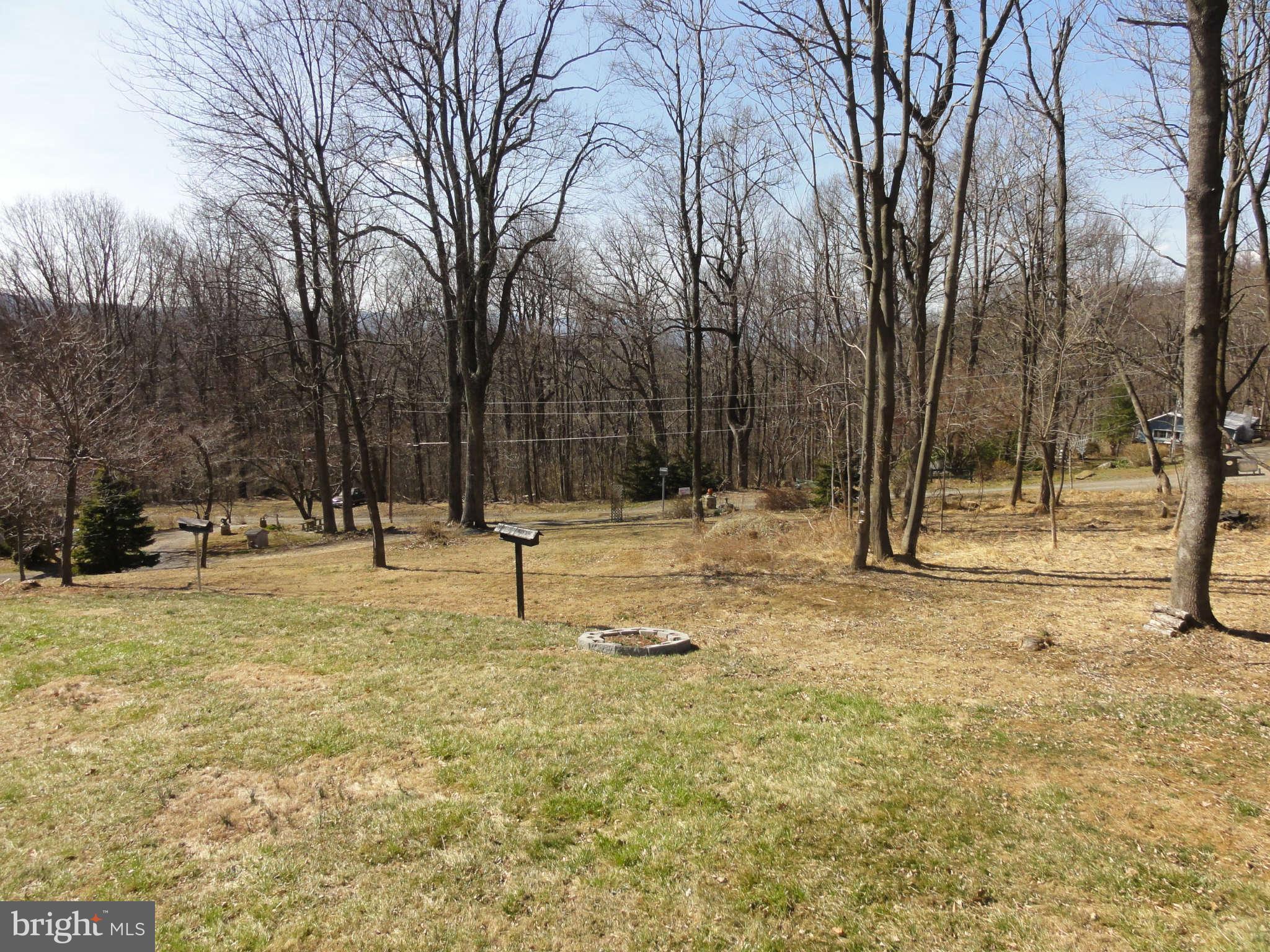 40 Appalachian Ridge Road Front Royal, VA 22630 - Photo 21 of 30 Exterior (General)