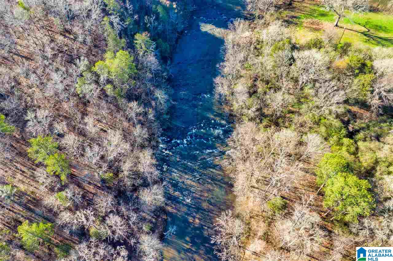 0 County Road 8, Unit 1 Clanton, AL 35045 - Photo 7 of 30