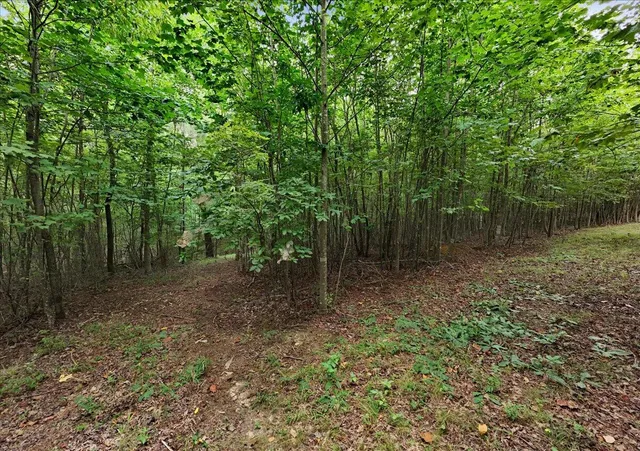 $105,000 | 200 Whiskey Way, Unit JF395, Jasper, TN 37347