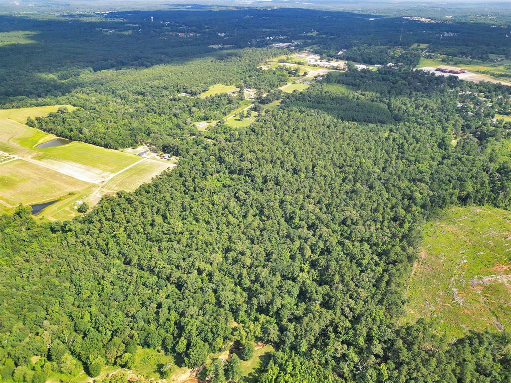 a view of a big yard with lots of green space