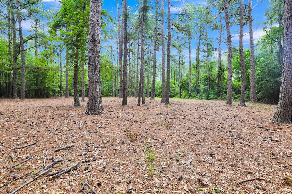 10114 County Road 272 Tyler, TX 75702 - Photo 14 of 38 a view of a yard with plants and trees