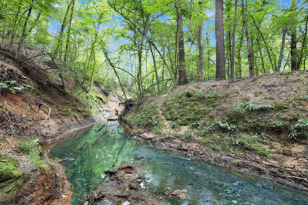 10114 County Road 272 Tyler, TX 75702 - Photo 21 of 38 a big yard with lots of green space and fog
