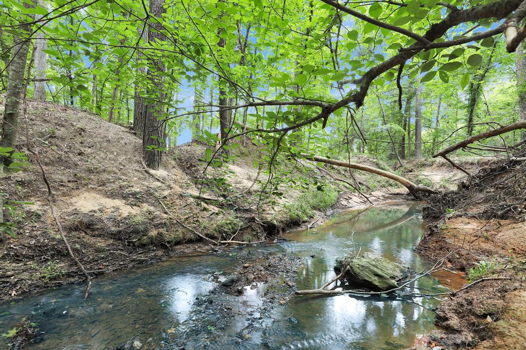 10114 County Road 272 Tyler, TX 75702 - Photo 22 of 38 a backyard of a house with a yard and lake view