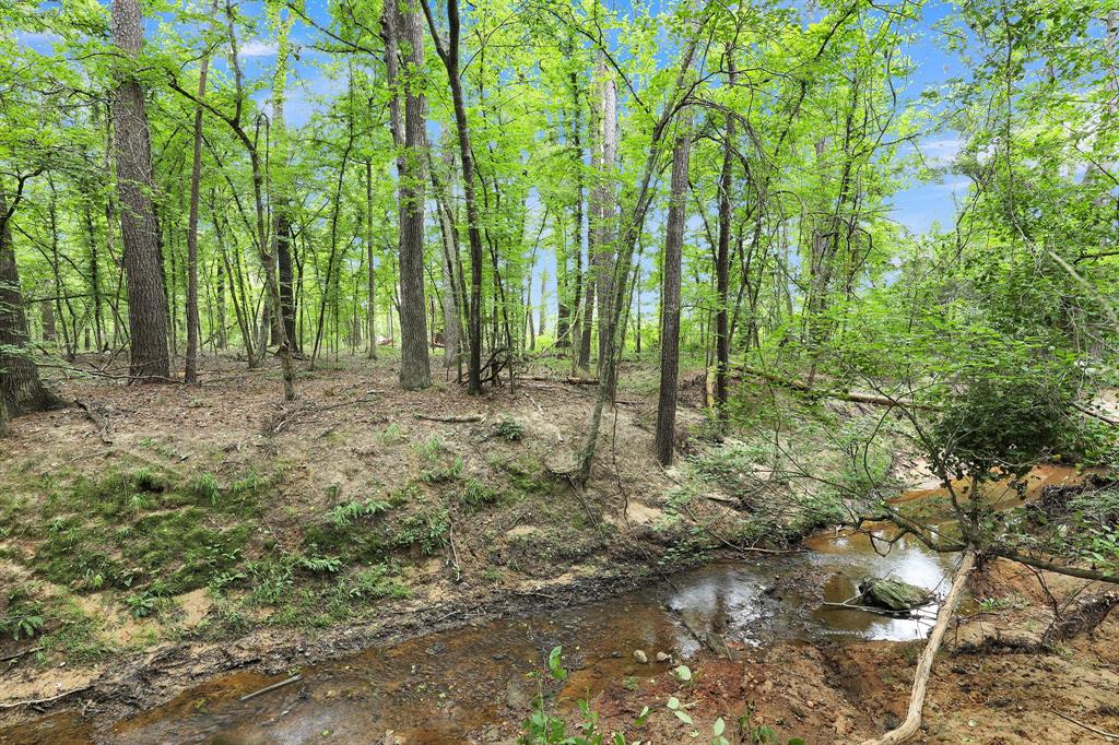 10114 County Road 272 Tyler, TX 75702 - Photo 23 of 38 a big yard with lots of green space and trees