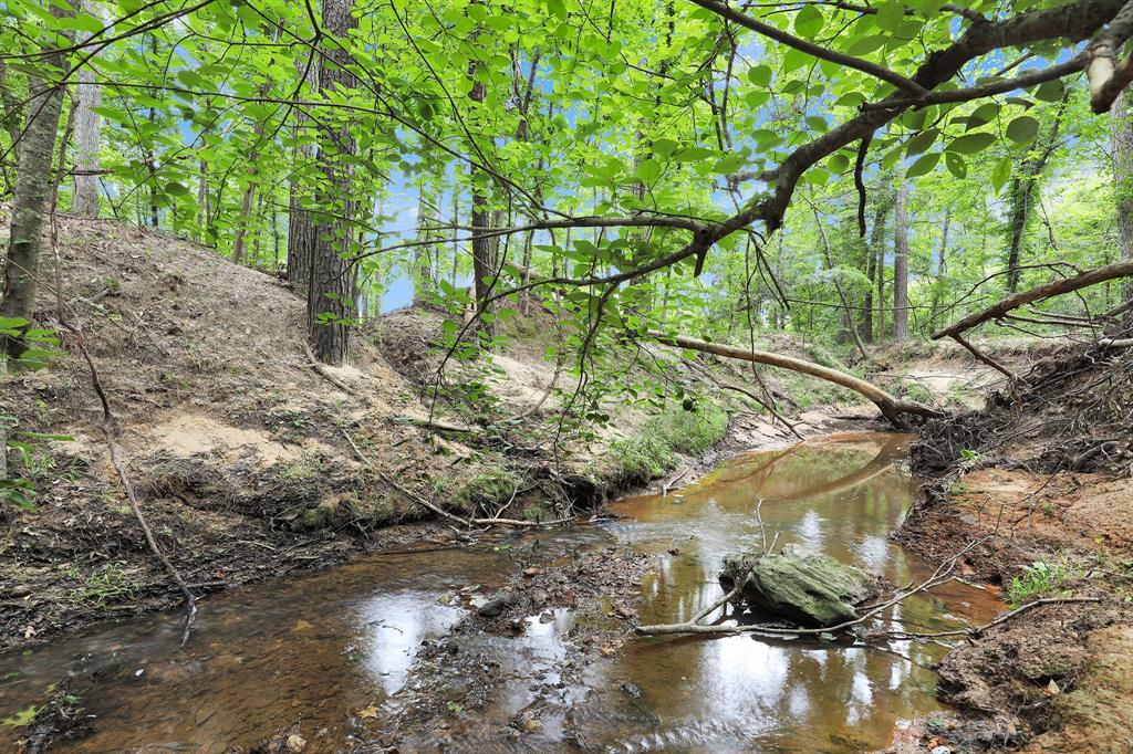 10114 County Road 272 Tyler, TX 75702 - Photo 25 of 38 a backyard of a house with a yard and lake view