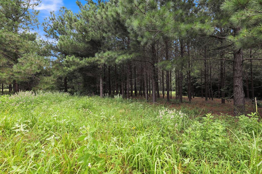 10114 County Road 272 Tyler, TX 75702 - Photo 26 of 38 a view of outdoor space and yard