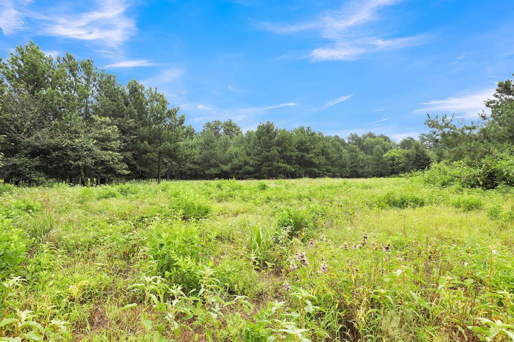 10114 County Road 272 Tyler, TX 75702 - Photo 28 of 38 a view of a field with an outdoor space