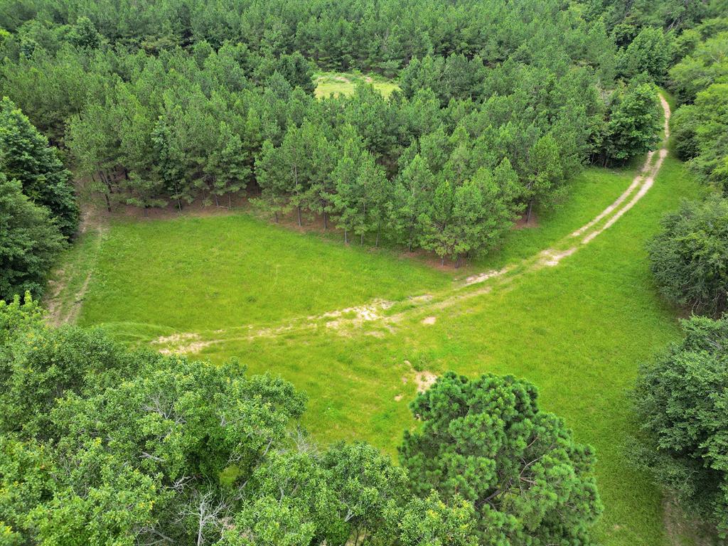 10114 County Road 272 Tyler, TX 75702 - Photo 29 of 38 a view of yard with green space
