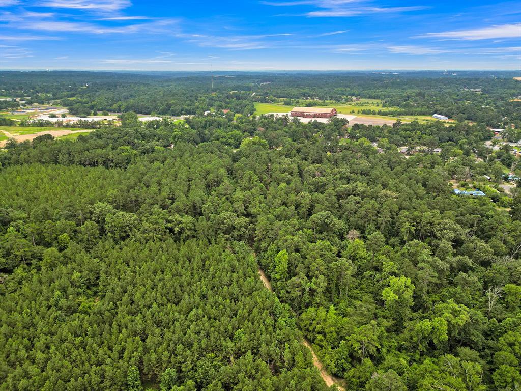 10114 County Road 272 Tyler, TX 75702 - Photo 32 of 38 a view of a city with an ocean