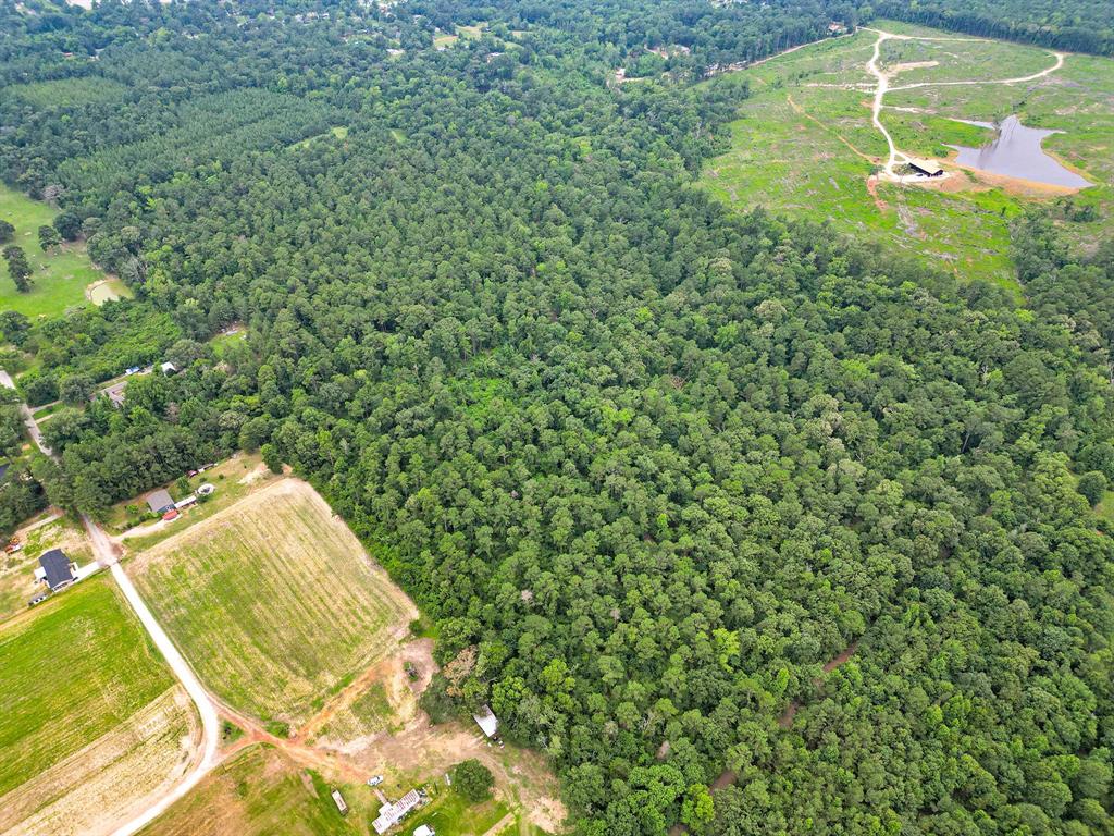 10114 County Road 272 Tyler, TX 75702 - Photo 34 of 38 a view of a yard