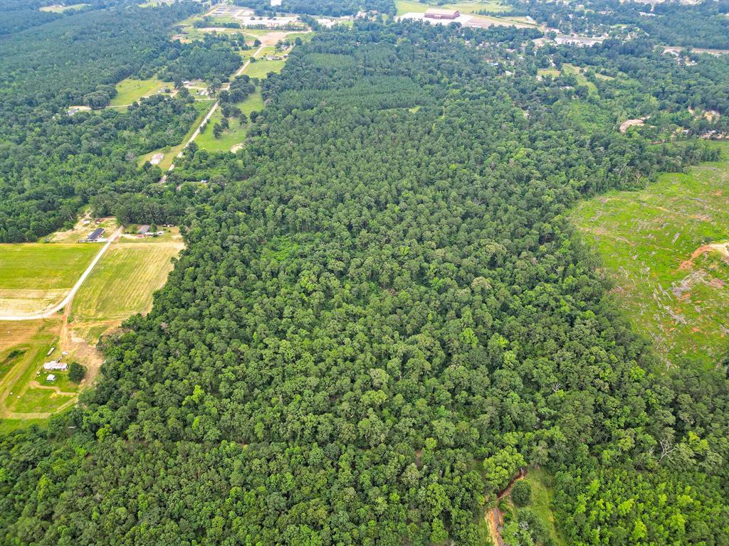 10114 County Road 272 Tyler, TX 75702 - Photo 35 of 38 a view of a yard